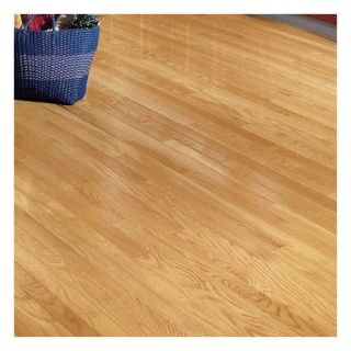 Dundee 2 1/4 Solid Red Oak Hardwood Flooring in Natural by Bruce