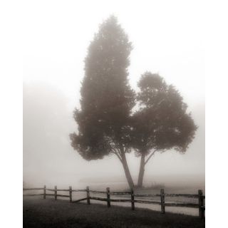 Limited Edition Cedar Tree and Fence, 2013 by Nicholas Bell