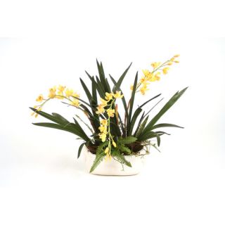 Distinctive Designs Silk Orchids with Fern and Pods in Ceramic Oval