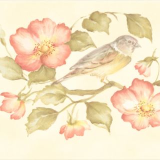 Brewster Peach Wild Rose Bird Border Wallpaper  ™ Shopping