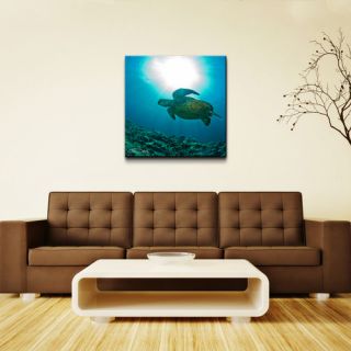 Ready2hangart Maui Turtle Blue by Chris Doherty Oversized Wrapped