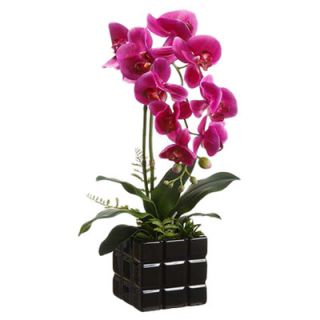 Artificial Phalaenopsis Orchid Plant in Ceramic Pot by Tori Home