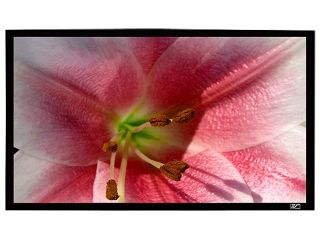 Elite Screens SableFrame ER135WH2 Fixed Frame Projection Screen   135"   16:9   Wall Mount