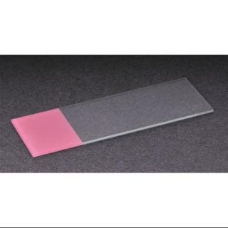 Lab Safety Supply 20F840 75x25mm Pink White Glass Microscope Slide