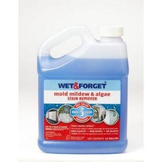 Wet & Forget 0.5 gal. Mold Mildew and Algae Stain Remover 800033CA