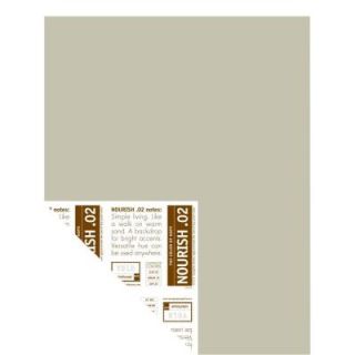 YOLO Colorhouse 12 in. x 16 in. Nourish .02 Pre Painted Big Chip Sample 222526