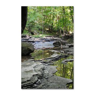 Philippe Sainte Laudy Waterfall in the Forest Canvas Art   17340798