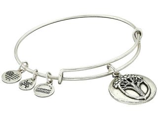 Alex and Ani Unexpected Miracles II Charm Bangle Rafaelian Silver