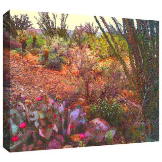 Dean Uhlinger Sonoran Spring Gallery wrapped Canvas  