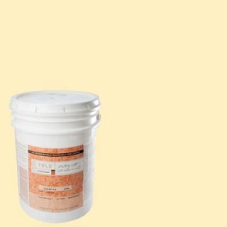 YOLO Colorhouse 5 gal. Grain .01 Flat Interior Paint DISCONTINUED 511319