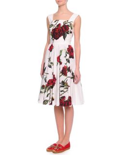 Dolce & Gabbana Rose Print Pleated Fit And Flare Dress