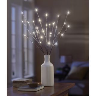 Order Home Collection LED Branch Lights   Shopping   Great