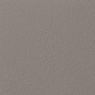 Ralph Lauren 13 in. x 19 in. #RR111 Grand Wash River Rock Specialty Paint Chip Sample RR111C