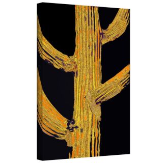 Dean Uhlinger Borrego Cactus Patch Gallery wrapped Canvas