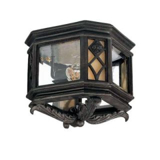 Acclaim Lighting Florence Collection Ceiling Mount 2 Light Outdoor Marbelized Mahogany Light Fixture DISCONTINUED 305MM