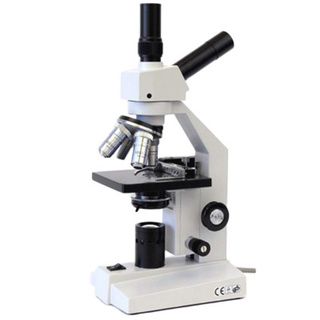 AmScope 40x 2500x Dual View Compound Microscope with Mechanical Stage