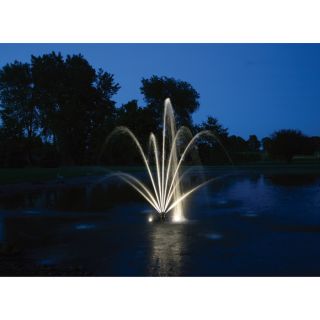 Kasco LED Puck Lights for X-Stream Pond Fountains, Model# LED8012W100  Pond Light Kits
