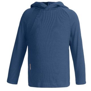 Icebreaker Bodyfit 260 Explorer Hoodie (For Kids) 4009G 30