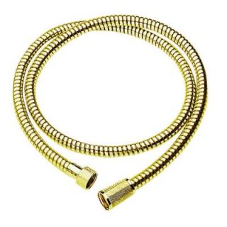 GROHE 59 in. Polished Brass Shower Hose DISCONTINUED 28143R00