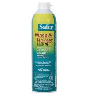 Safer Brand Wasp and Hornet Killer Poison Free Aerosol 5730