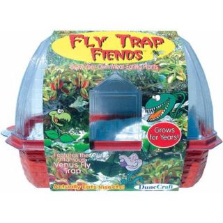 Fly Trap Fiends Windowsill Greenhouse