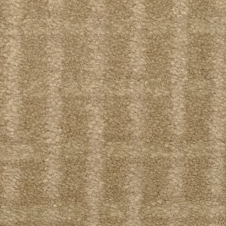 STAINMASTER TruSoft Chateau Avalon Tart Cut and loop Indoor Carpet