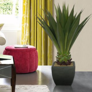 Laura Ashley Home 43 Realistic Giant Aloe Plant in Contemporary
