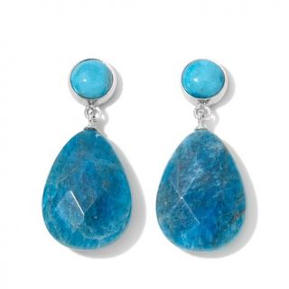 Jay King Pear Apatite and Iron Mountain Turquoise Sterling Silver Drop Earrings   7781451