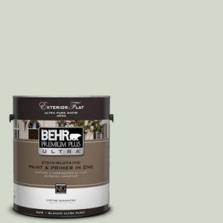 BEHR Premium Plus Ultra Home Decorators Collection 1 gal. #HDC CT 25 Bayberry Frost Flat Exterior Paint 485001