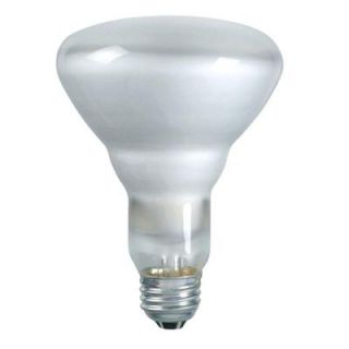 Philips DuraMax 65 Watt Incandescent BR30 Indoor Flood Light Bulb (12 Pack) 223040