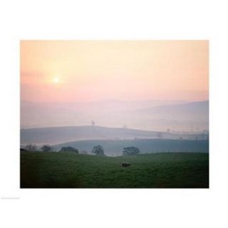 Sunrise near Hawes, Yorkshire Dales National Park, North Yorkshire, England Poster Print (24 x 18)