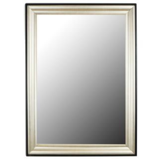 Second Look Mirrors Silver Rain Black Accent Trim Framed Wall Mirror