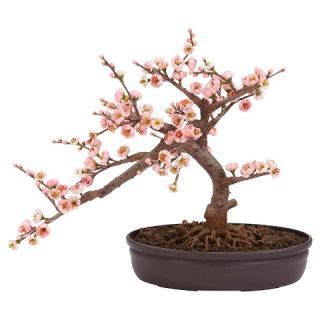 Nearly Natural Cherry Blossom Bonsai Silk Tree