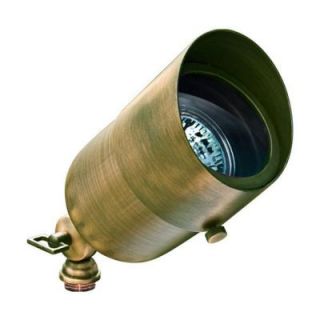 Filament Design Skive 1 Light Antique Brass Outdoor Directional Spot Light CLI DBM2512
