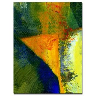 Trademark Fine Art 18 in. x 24 in. Orange and Blue Color Study Canvas Art MC052 C1824GG