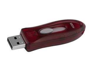 Kingston DataTraveler 110 (Red) 4GB Flash Drive (USB2.0 Portable) Model DT110R/4GB