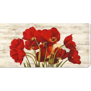 Big Canvas Co. Serena Biffi French Poppies Stretched Canvas