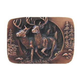 Notting Hill 1 1/2 in Copper Great Outdoors Rectangular Cabinet Knob