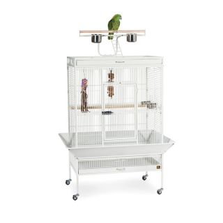Prevue Pet Products Wrought Iron Select Bird Cage   12503449