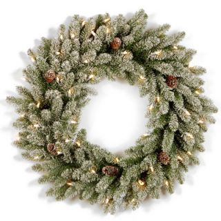 Snowy Concolor Fir Pre Lit Wreath with 100 Clear Lights by National