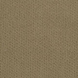 STAINMASTER Active Family St Thomas Marzipan Berber Indoor Carpet