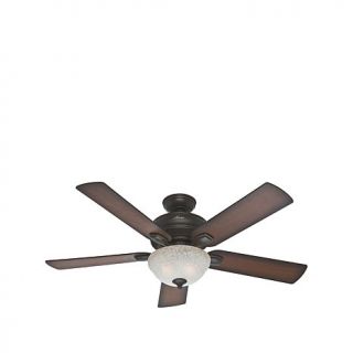 Hunter Matheston Outdoor Ceiling Fan   7809653