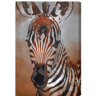 Zebra Colt by Canyon Gallery Graphic Art on Wrapped Canvas by Oliver