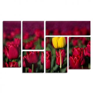 Pierre Leclerc "Yellow Tulip" Art Collection   Set of 6
    7674342