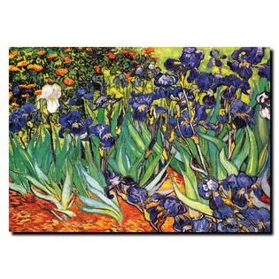 Trademark Fine Art Vincent van Gogh Irises at Saint Remy Canvas Art