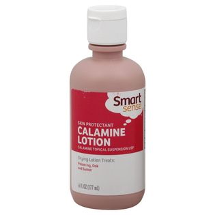 Smart Sense  Calamine Lotion, 6 fl oz (177 ml)
