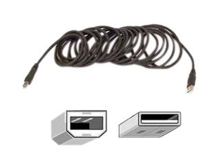 Belkin F3U133 B06 6 ft. USB A/B CABLE 20/28 AWG