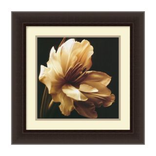 Amanti Art 17.84 in W x 17.84 in H Framed Paper Floral Prints Wall Art