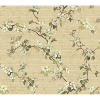 York Wallcoverings 60.75 sq. ft. Apple Blossom Wallpaper DC1303