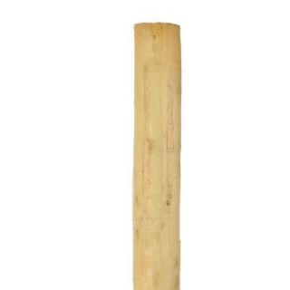 4 in. x 4 in. x 8 ft. Pressure Treated Pine Agriculture Fence Post 107417